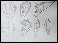 Draw Anime Ears And Manga Ears How To Draw Anime Ears Manga Ears