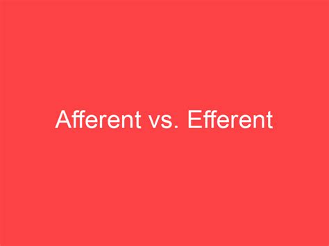 Afferent Vs Efferent What S The Difference Main Difference