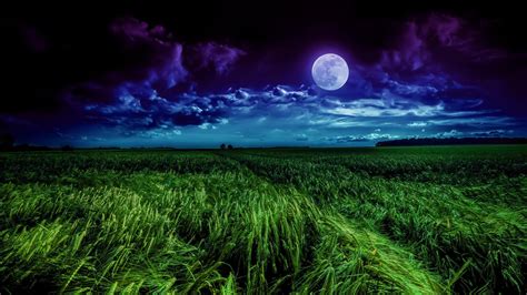 Landscape Full Moon Meadow Tree Moonlit Grassland Moon 4K Field