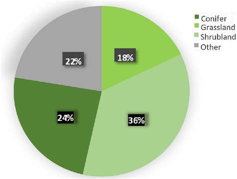 Percent cover by vegetation type for the study area. Conifer ... 