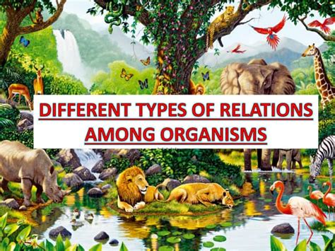 Different Types Of Relations Among Organisms 1 Ppt