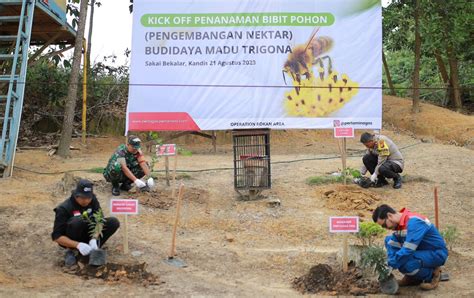 Tingkatkan Produksi Madu Trigona Pertagas Tanam Bibit Pohon