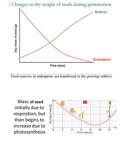 Sexual Reproduction In Plants Flashcards Quizlet