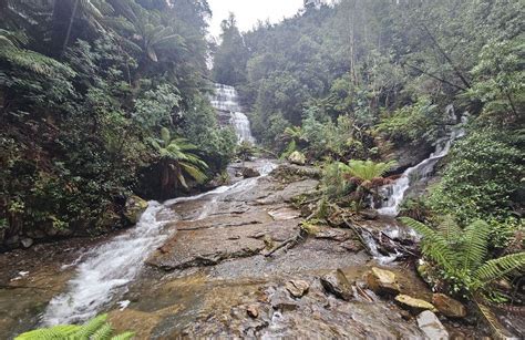 10 Best trails and hikes in Tasmania | AllTrails