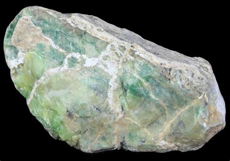 51 Polished Green White Opal Slab Western Australia 65404 For