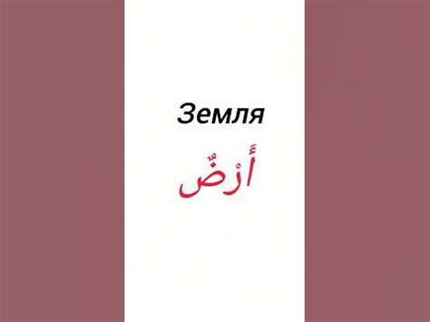 Слова из Корана.#arabic#коран#арабский##алфавит#ислам#shorts# ...