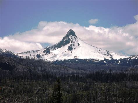 Top 10 Amazing Facts About Mount Washington Discover Walks Blog