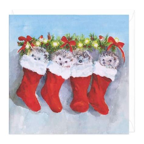 Whistlefish Christmas Card Christmas Hedgehog In Stocking Delivery