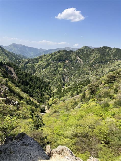 宮指路岳・仙ヶ岳（西峰）・仙ヶ岳（東峰）・野登山（西峰） Haruba🦆🍹♨️さんの入道ヶ岳・鎌ヶ岳・仙ヶ岳の活動データ Yamap