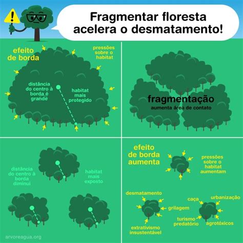 Fragmentação arvoreagua