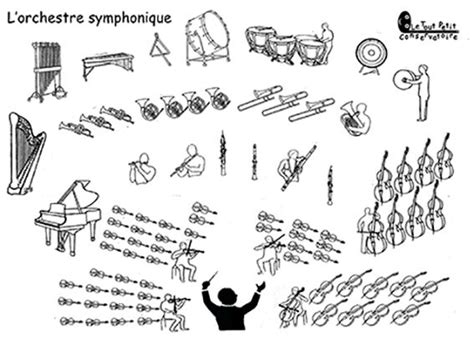 L orchestre symphonique ses différents instruments de musique