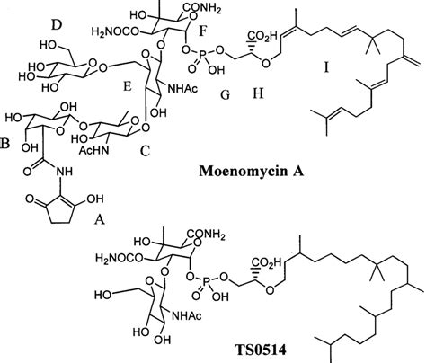 Structure Of Moenomycin A And Its Disaccharide Degradation Product