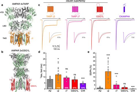 Tarps And Gsg L Differentially Modify Ampar Desensitization A B