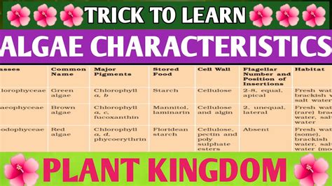 Quick Trick Algae Characteristics Plant Kingdom Table 3 1 NCERT Class