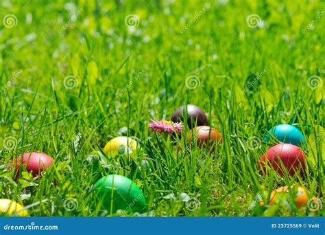 Ovos De Easter Na Grama Verde Imagem De Stock Imagem De Pasto Forma