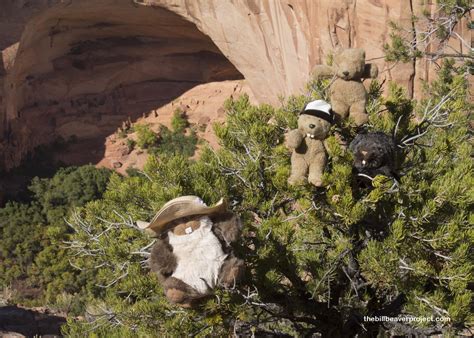 Navajo National Monument! - The Bill Beaver Project