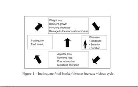 Diseases of Malnutrition Diagram | Quizlet