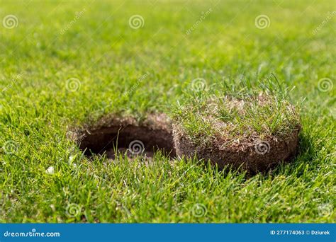 Repair of Turf at the Football Field Stock Image - Image of inset ...