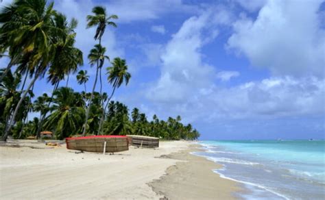 Praia de Maragogi Onde fica fotos hotéis e tempo