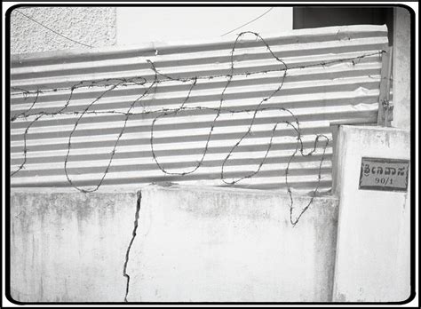 Barbed Wire Ii Twee Cat Photography