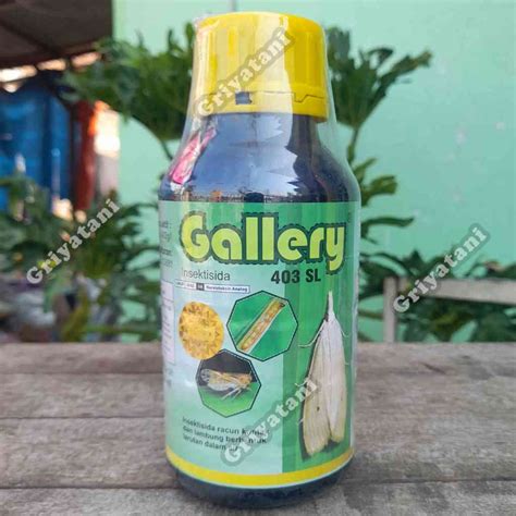 Jual Insektisida Gallery 403 SL 500 Ml Shopee Indonesia