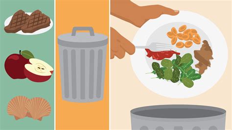 Understanding Food Waste | Fix.com