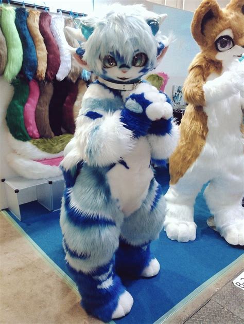 Pin By ꒰ 🌸 Baby Michelle ꒱ On Fursuits Fursuit Furry Furry Fan