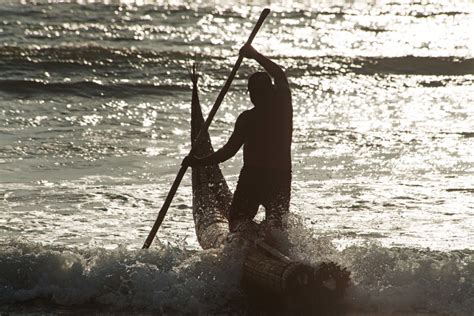 Crónica Caballitos De Totora Conservamos Por Naturaleza