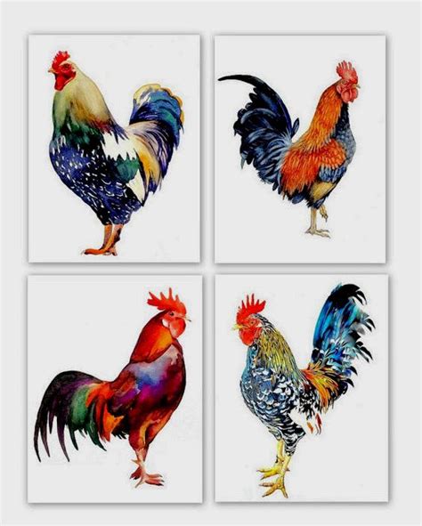 Pin on vögel in 2024 | Chicken painting, Watercolor rooster, Rooster ...