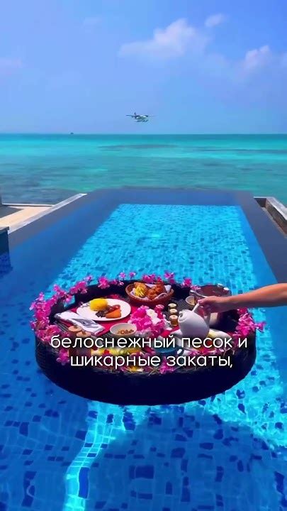 5 причин улететь летом на мальдивы летом 2024 года #горящиетуры # ...