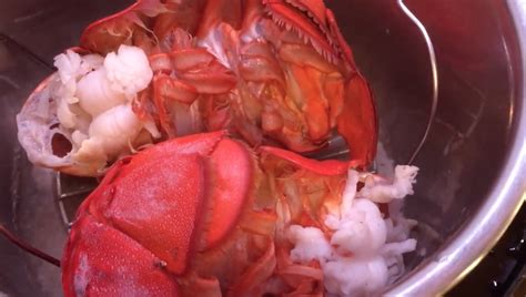 Instant Pot Lobster Rolls Recipe Instant Pot Recipes Lobster Roll