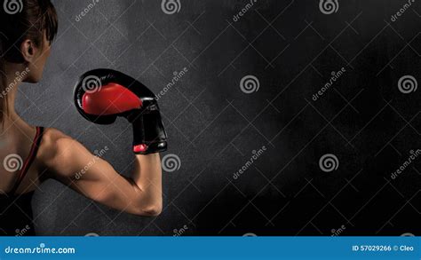 Woman Boxer Biceps On Black Background Stock Photo Image