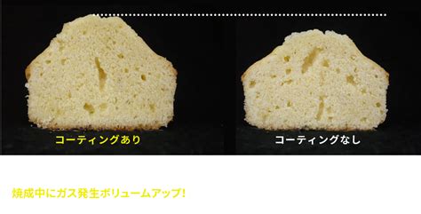 Aikoku アイコク ベーキングパウダー 450g ふくらし粉 ミョウバン不使用 アルミフリー 膨張剤