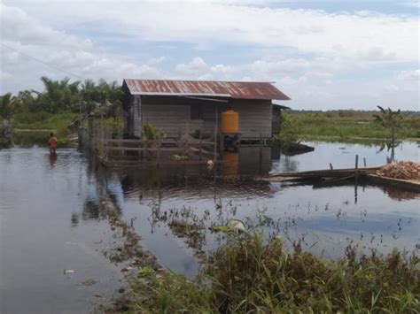 Banjir Rendam Ratusan Rumah Di Mappi Papua Selatan Jiwa Terdampak