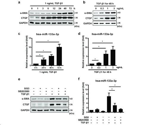 Tgf β1 Induces Mir 133a Expression Via Both Smad3 And P38mapk Signaling