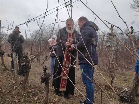 Obeležavanje Svetog Trifuna u negotinskom vinogorju ZA media