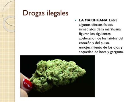 Ppt Las Drogas Powerpoint Presentation Free Download Id 2250141