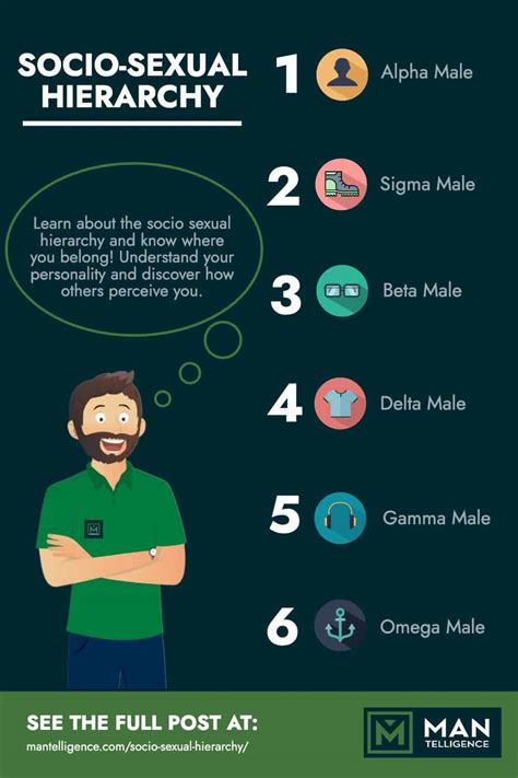 6 Socio Sexual Hierarchy An Awesome Way To Know What Type Of Man Are You