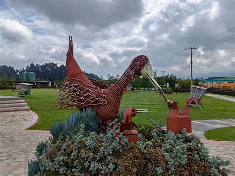 Semana Del Agua Recorrido Por El Ecoparque Sabana Parque Jaime Duque