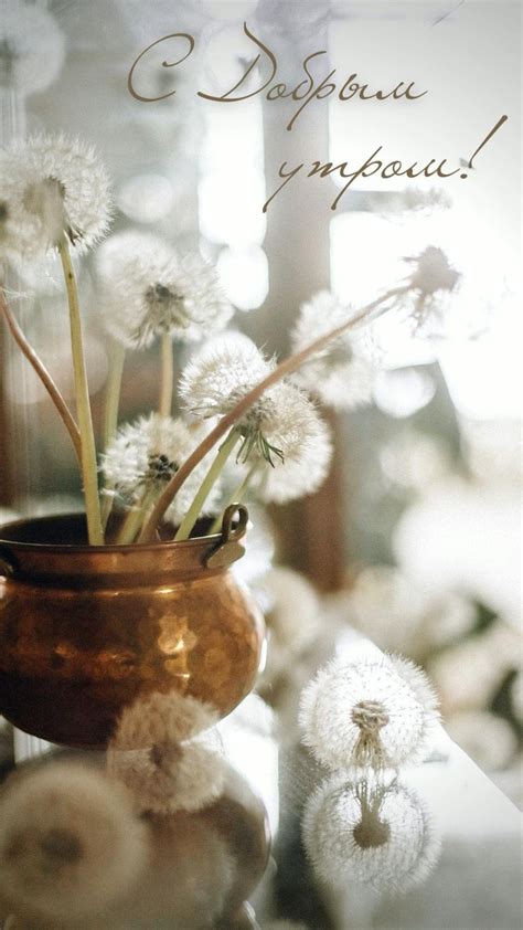 Доброе утро