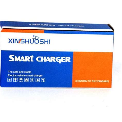 Jual Special Charger Sepeda Listrik V Ah Charger Aki Sepeda