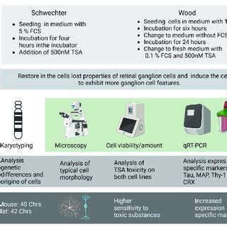 Comprehensive Overview Of The Methods And The Expected Results