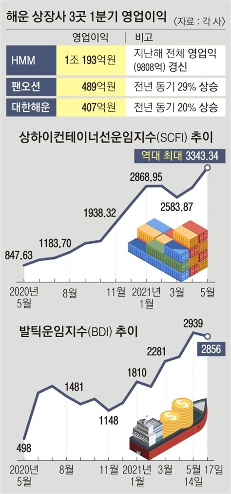 컨테이너선 끌고 벌크선 받치고 운임 폭등 해운업계 ‘실적 잔치 서울신문