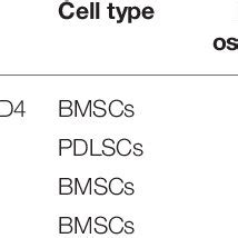 Mirnas Regulate Osteogenic Differentiation By Wnt Signaling Pathway