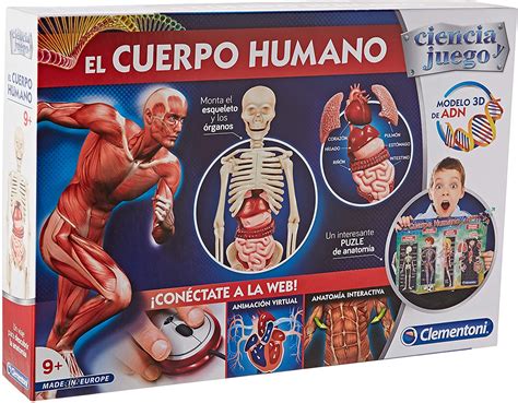 Modelo anatomía Educandis