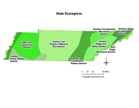 Printable Tennessee State Maps: Counties (All 95 Counties) | CCCarto