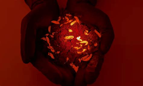 Scientists Genetically Engineer Unusual New Solution To Humanitys