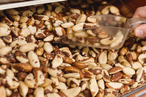 10 Health-Boosting Recipes with Brazil Nuts – The Nut Market