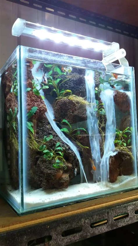 Aquascape Desain Id