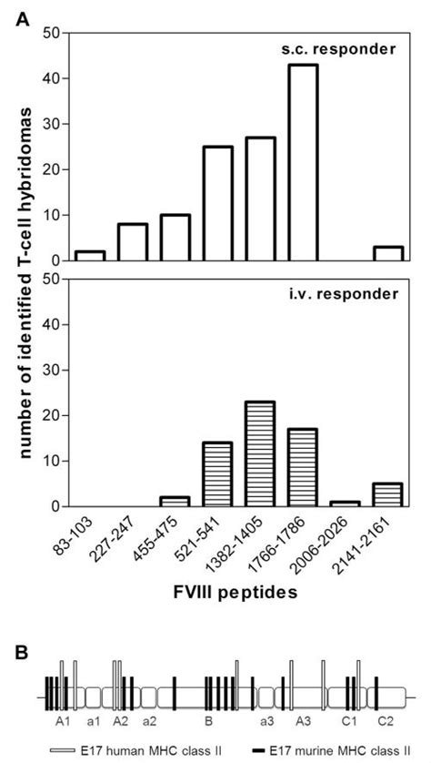 CD4 T Cell Epitopes Associated With Antibody Responses After